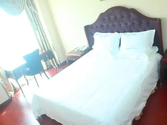 Superior Tek Büyük Yataklı Oda