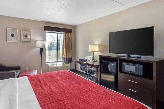 Oda