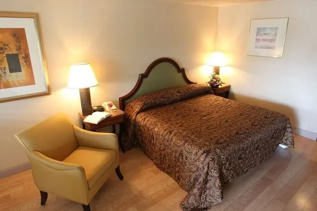 Deluxe Oda, 1 En Büyük (King) Boy Yatak, Sigara İçilmez