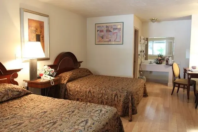 Deluxe Oda, 2 Büyük (Queen) Boy Yatak, Sigara İçilmez