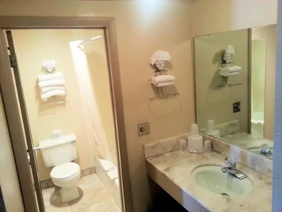 Deluxe Oda, 2 Büyük (Queen) Boy Yatak, Sigara İçilmez