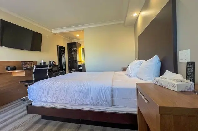 Premium Oda, 1 Büyük (Queen) Boy Yatak, Sigara İçilmez