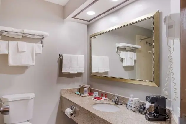 Standard Oda, 2 Büyük (Queen) Boy Yatak, Sigara İçilmez, Buzdolabı (Pet Friendly)