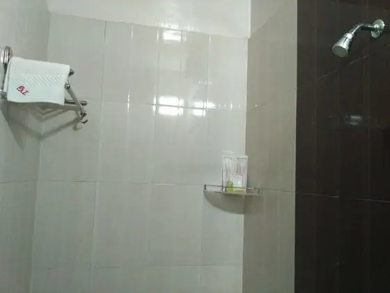 Deluxe Tek Büyük Yataklı Oda, 1 Çift Kişilik Yatak, Park Manzaralı