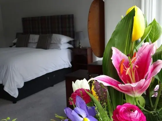 Deluxe Tek Büyük veya İki Ayrı Yataklı Oda, 1 Yatak Odası, Küvet