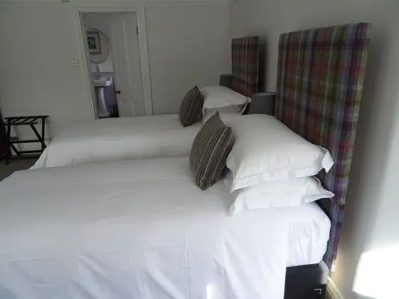 Deluxe Tek Büyük veya İki Ayrı Yataklı Oda, 1 Yatak Odası, Küvet