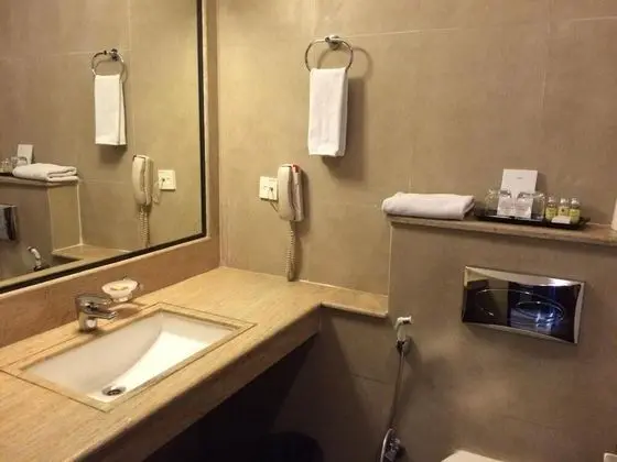 Deluxe Tek Büyük veya İki Ayrı Yataklı Oda