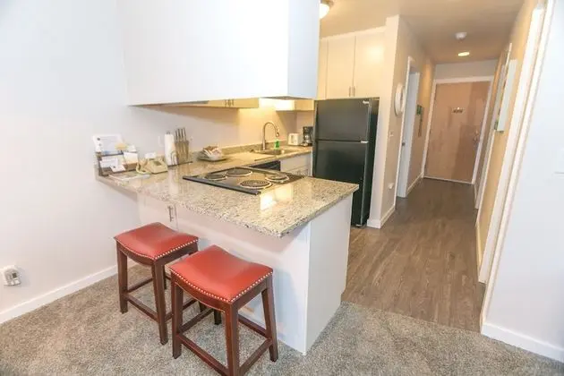 Signature Oda, 1 En Büyük (King) Boy Yatak ve Çekyat, Mutfak (1 Bedroom Unit- Room 203-No Pets)