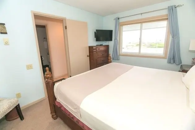Signature Oda, 1 En Büyük (King) Boy Yatak ve Çekyat, Mutfak (1 Bedroom Unit- Room 305-Pet Friendly)