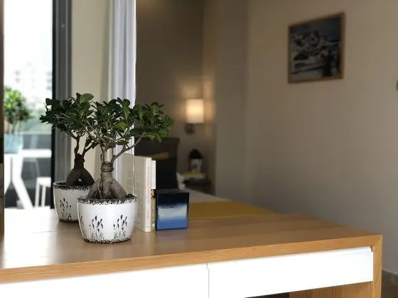 One bedroom apartment sea view