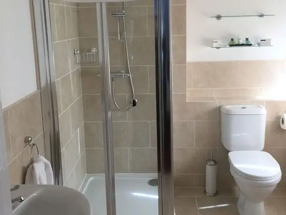 Standard Tek Büyük Yataklı Oda, Banyolu/Duşlu