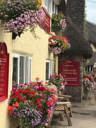 Standard Tek Büyük Yataklı Oda, Banyolu/Duşlu