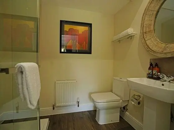 Tek Büyük Yataklı Oda, Banyolu/Duşlu (Room 1)