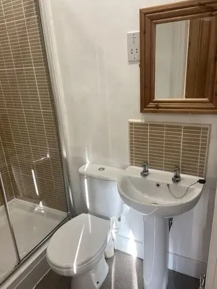 Deluxe Tek Büyük Yataklı Oda, Banyolu/Duşlu