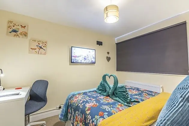 Comfort Tek Büyük Yataklı Oda, 1 Çift Kişilik Yatak, Ortak Banyo