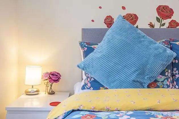 Comfort Tek Büyük Yataklı Oda, 1 Çift Kişilik Yatak, Ortak Banyo