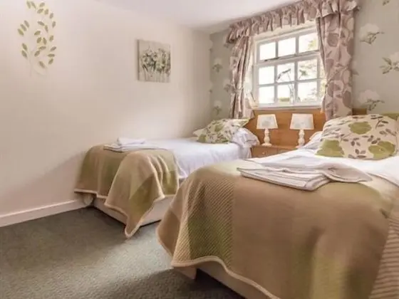 Comfort Tek Büyük Yataklı Oda, Banyolu/Duşlu (Room Only )