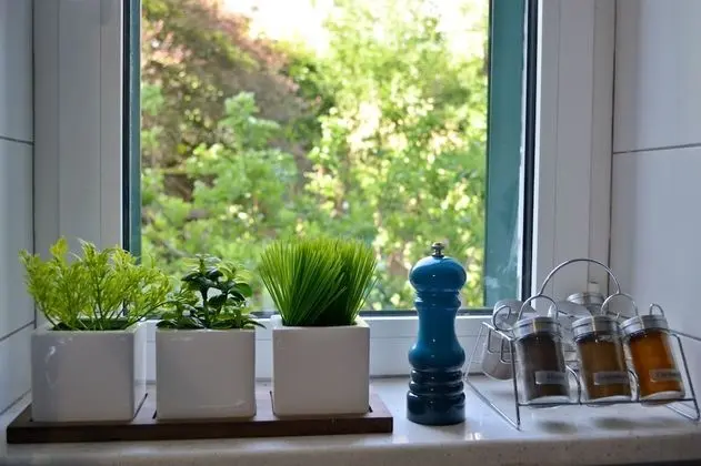 Comfort Stüdyo, Bahçe Manzaralı