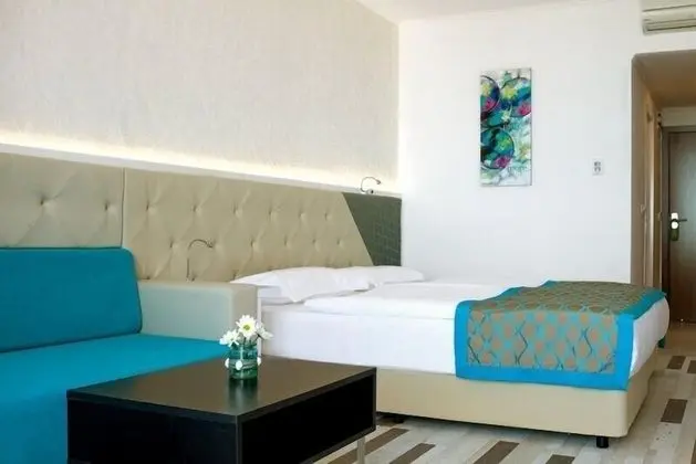 Tek Büyük Yataklı Oda, Balkon, Park Manzaralı