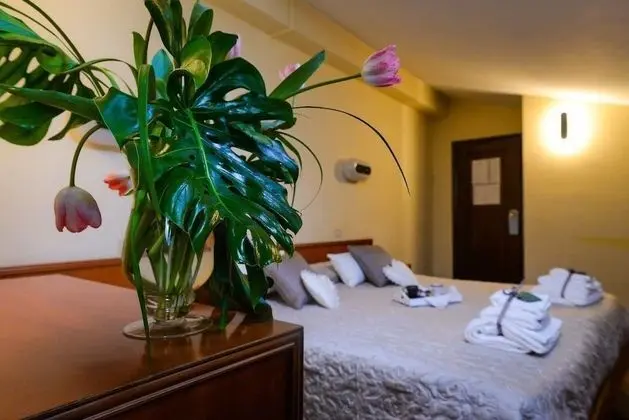 Tek Büyük veya İki Ayrı Yataklı Oda, Özel Banyo