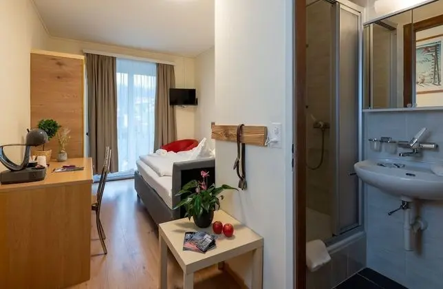 Standard Tek Büyük Yataklı Oda (Doppelzimmer Bergblick)