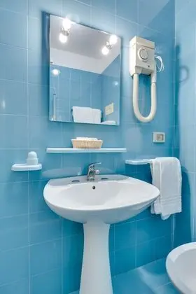 Tek Büyük Yataklı Oda (mansarda)