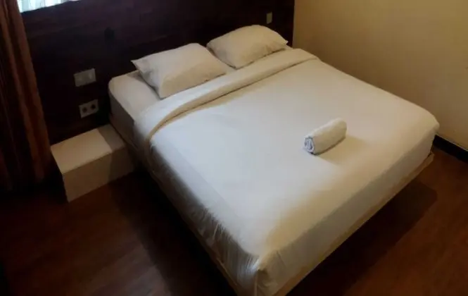 Superior Tek Büyük Yataklı Oda
