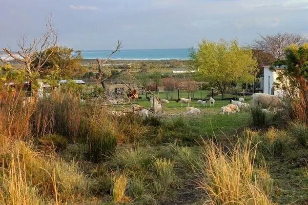 Panoramic Ev