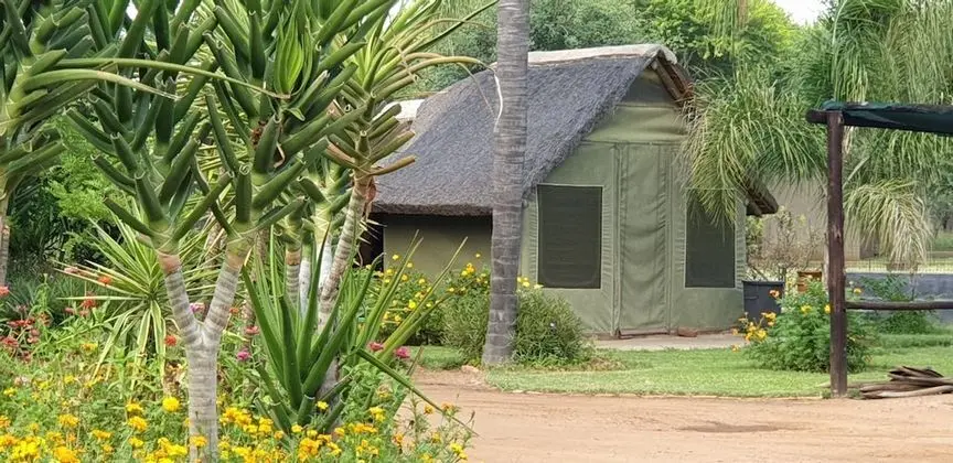 Meerkat Chalet