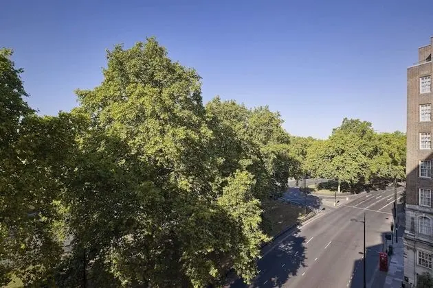 Royal Süit, 1 Yatak Odası (Executive Lounge Access)