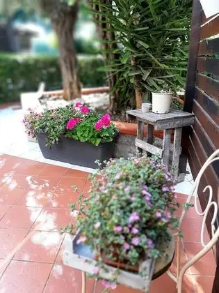 Family Üç Kişilik Oda, Dağ Manzaralı