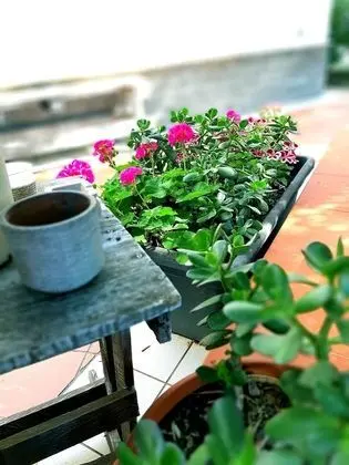 Family Üç Kişilik Oda, Dağ Manzaralı