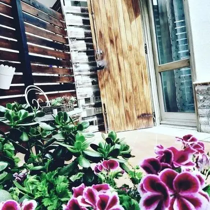 Family Üç Kişilik Oda, Dağ Manzaralı