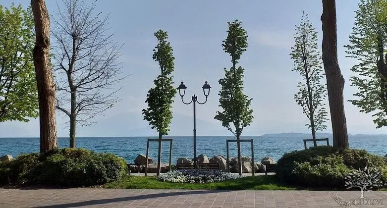 Apart Daire, 1 Yatak Odası, Mikrodalga