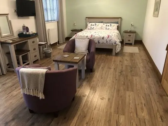 Deluxe Tek Büyük Yataklı Oda (Courtyard)