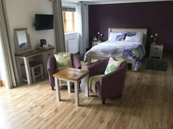 Deluxe Tek Büyük Yataklı Oda (Courtyard)