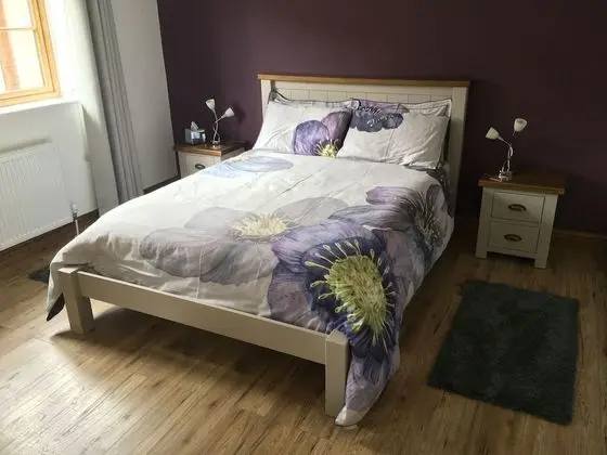 Deluxe Tek Büyük Yataklı Oda (Courtyard)