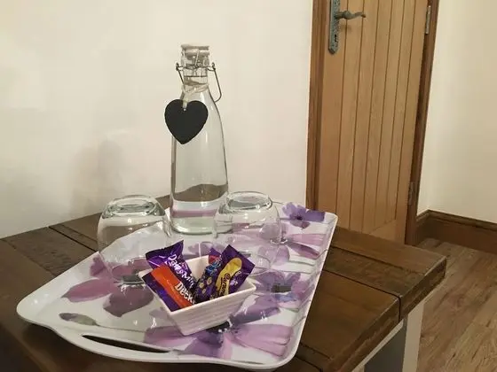 Deluxe Tek Büyük Yataklı Oda (Garden)