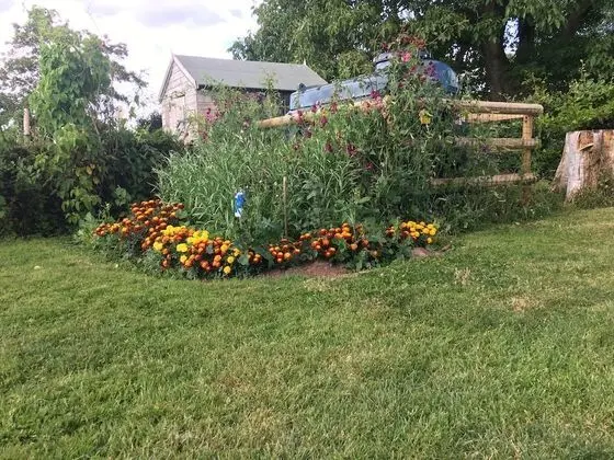 Tek Büyük Yataklı Oda, Banyolu/Duşlu (Garden Room)