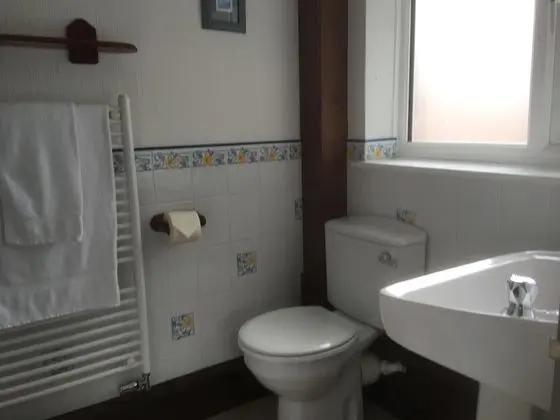 İki Ayrı Yataklı Oda, Banyolu/Duşlu (Shower)