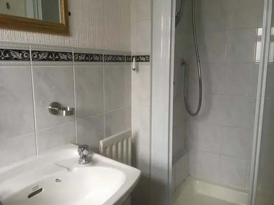 Tek Büyük Yataklı Oda, Banyolu/Duşlu (Shower)