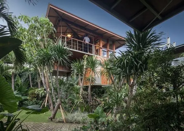 Treehouse B