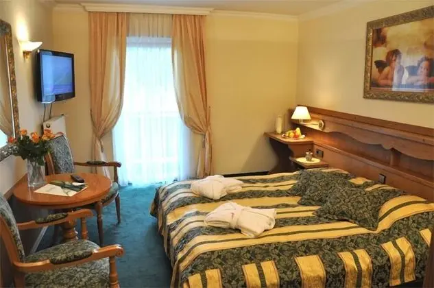 Basic Büyük Yataklı Tek Kişilik Oda, 1 Yatak Odası, Balkon, Bahçe Manzaralı