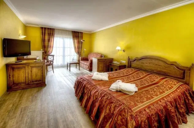 Superior Tek Büyük Yataklı Oda, Balkon, Dağ Manzaralı