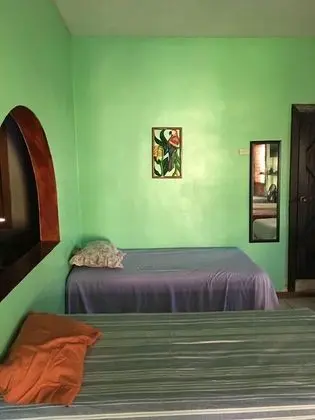 Traditional Stüdyo, Birden Çok Yatak, Teras, Okyanus Manzaralı