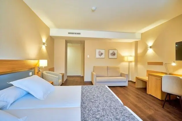 Tek Büyük Yataklı Oda, Şehir Manzaralı (with extra bed)