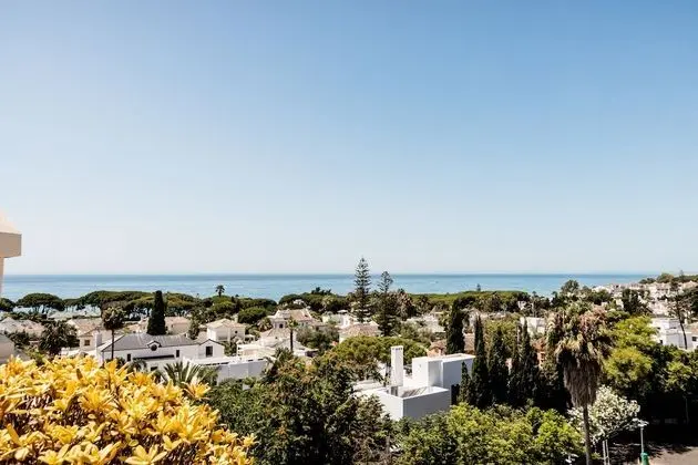 Çatı Katı Süiti (Penthouse), 1 Yatak Odası