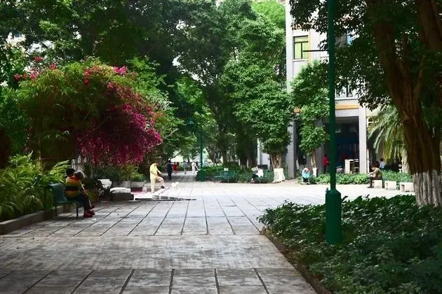 Design Süit, 1 Yatak Odası, Veranda, Bahçe Manzaralı