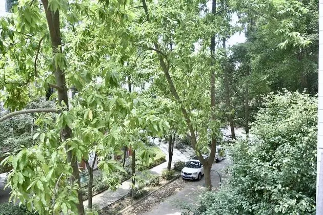 Family Süit, 2 Yatak Odası, Küvet, Avlu Manzaralı
