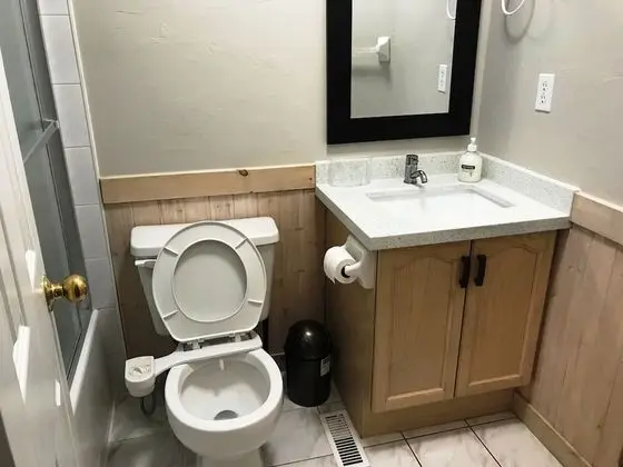Basic Tek Büyük Yataklı Oda, Ortak Banyo
